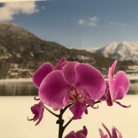 Lejlighed Lea Am - Bio Design
